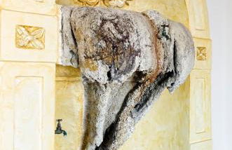 Residence Mareluna - Amalfi Coast - Foto 42