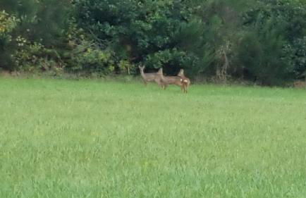 Gîtes Aux Quatre vents - Photo 8