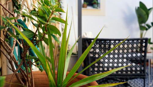 Casa da Praia - Manta Rota - Foto 2