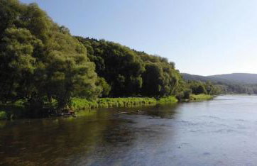 Temeszówka domek do wynajęcia - Foto 32