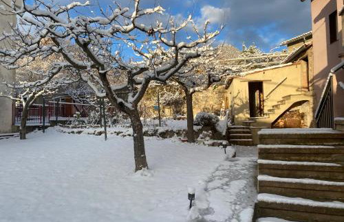 Cal Carol - Photo 20