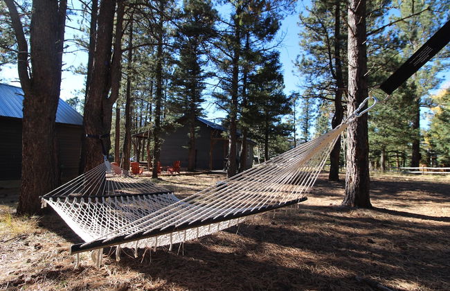 Aspen Springs Angel fire - Foto 65