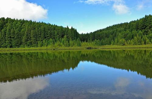 Sete Cidades Nature Villa - Photo 24