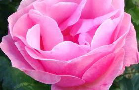 La Pomella - Foto 43