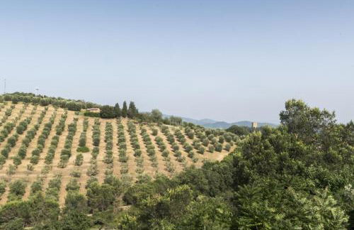 Agriturismo Borgo Spagnoli - Photo 17