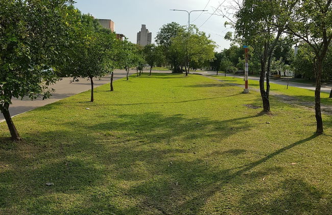 Temporarios Chaco - Foto 15