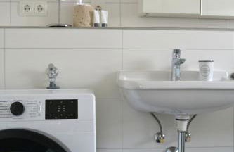 Schwarzwald Lahr Europapark Penthouse Sunshine - Foto 24