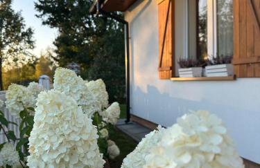 Międzyleś 68 - Foto 11