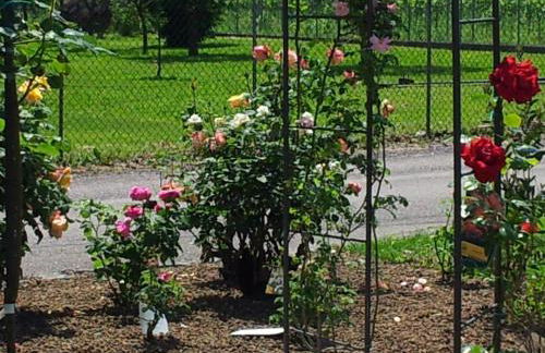 A casa di Albino e Giovannina - Foto 8