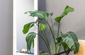 Peaceful, spacious & stylish, a real home! - Foto 44