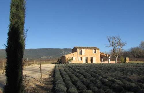 le bastidon - Foto 35