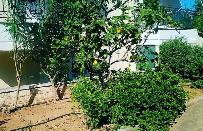 Beautiful & Cosy 5-bedroom Villa - Peloponnese - Foto 27