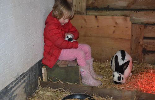 Haus Blume - Foto 37