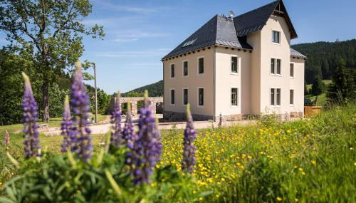 Alte Försterei Wildenthal am Kammweg Erzgebirge Ferienapartment 3 - Foto 4