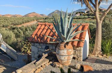 Villa Batsheva Private and Detached - Photo 25