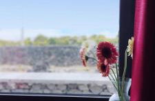 Yes Pico - By the Sea "Casa 3 Vistas" - Photo 48