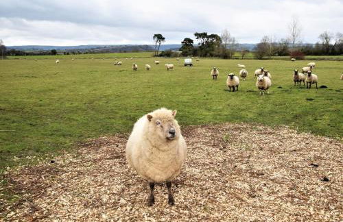 2 Bed in Glastonbury oc-79499 - Photo 15