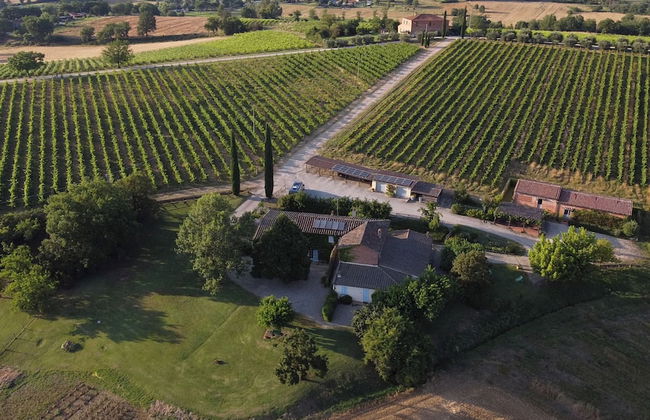 Fattoria Santa Vittoria Istrice Apartment - Foto 15