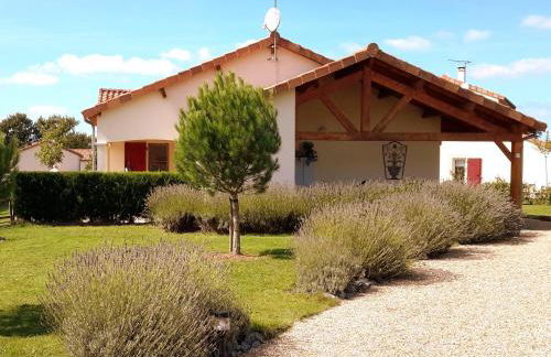 Luxury Villa in France with Pool - Foto 6