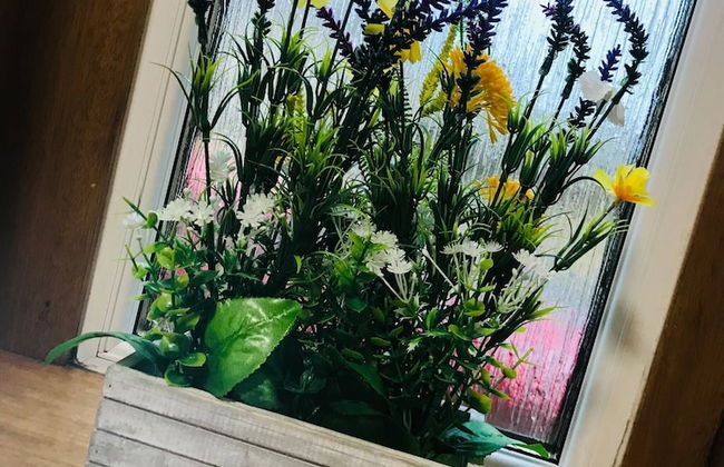 Station View Lodge - Near Balbirnie House Markinch - Foto 40