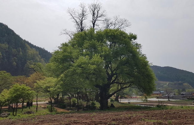 Moonlight House - Photo 22