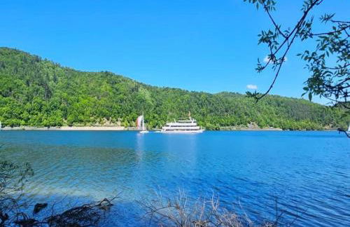 Apartment in Twistetal Oberwaroldern - Photo 74