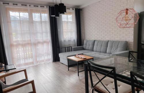 White View Rose - Photo 11