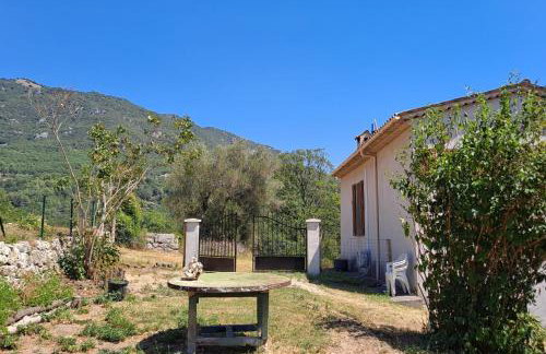 3 Bed House Sleeps 8 -Private Garden -Pets Ok - Foto 45