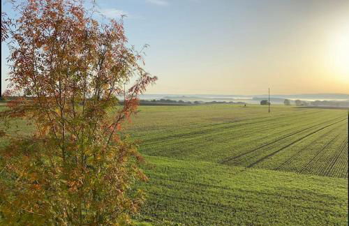 Schöne Fewo in Röttbach - Foto 8