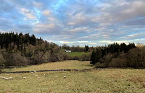 Kenmure Kennels - Foto 44