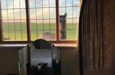 The Old Telephone Exchange - surrounded by fields! - Photo 21