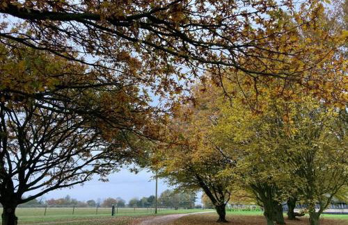 The Old Dairy & The Old Stables - Foto 11