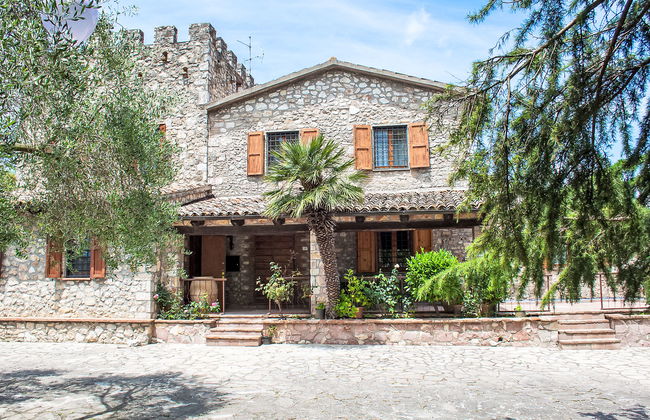 Olivo secolare - Foto 3