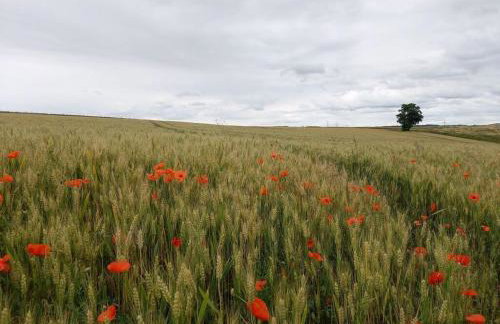 Emerald - Holiday Home for - Foto 52