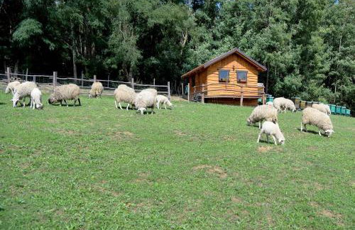 Grebengradska Medna Hiža - Foto 50