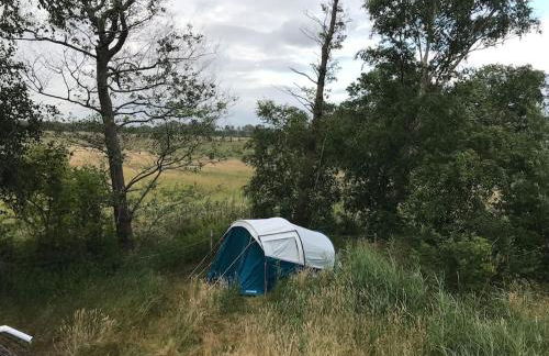 Reetdachhaus, Wilstermarsch - Foto 15