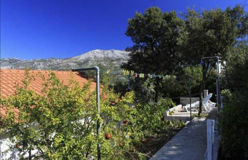 Villa Conte - Foto 69