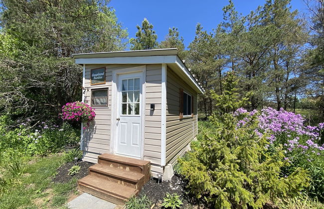 Dreamers Writing Farm - Foto 41