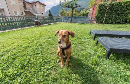 App Ciliegio Casa Demonti - Foto 27