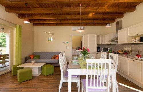 Villa Cicibella by IstriaLux - Foto 37