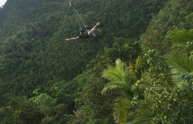 Palms Cove Resort - Photo 63