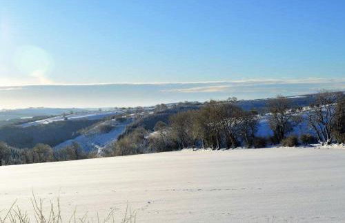 3 Bed in Llanllwni 91447 - Foto 17