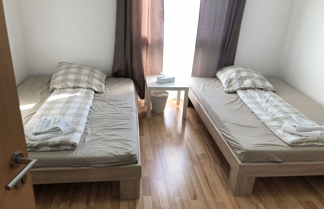 Sahara Falcon - Foto 8