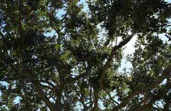 NW Bradenton Home - Less than 5 mi from IMG & AMI! - Foto 29