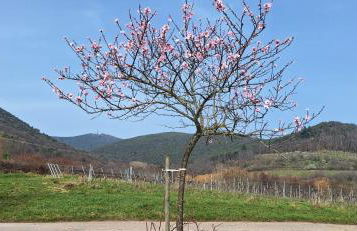 Haus Mittendrin - Foto 34