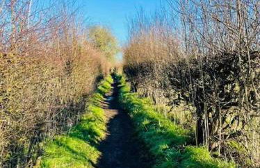 Oxfordshire Country Cottage - Foto 69