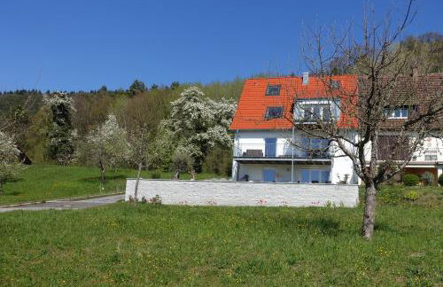 Ferienwohnung Süßenmühle Naturstrand - Foto 19