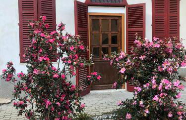 L’Albero Colorato - Foto 17