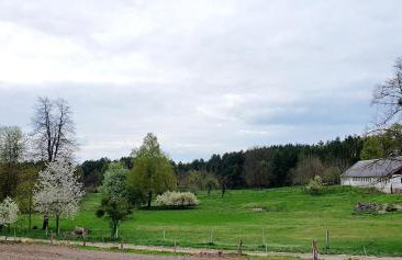 Agroturystyka Stara Huta - Foto 78