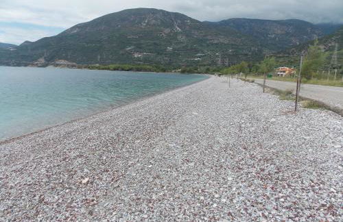 Hotel Theasis - Foto 18